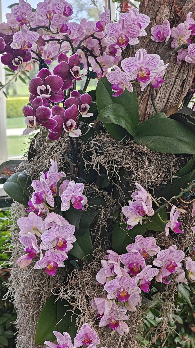 PeaceIslandsNY's tweet image. The Riverside Church and Peace Islands NY came together for a walking tour of NY Botanic Gardens. It was a lovely spring day, blooming flowers and warm conversations

#interfaith
