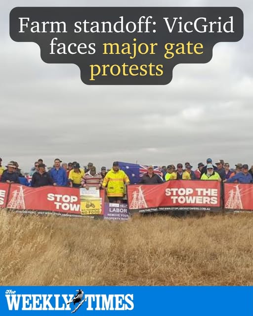 suzanne2222's tweet photo. Crunch time for #VictorianFarmers - Labor's Net Zero obsession ready to take over their land.
#VicGrid officers will force entry onto 26 Victorian farms this week to conduct surveys, but farming families have enlisted thousands of supporters to block access at farm gates. https://t.co/zTHXJNO2e7