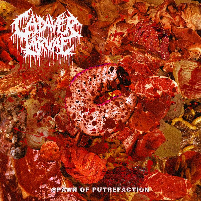 DeathDoomed's tweet image. Cadaver Larvae 

Spawn of Putrefaction

#gore #brutaldeathmetal #deathmetal