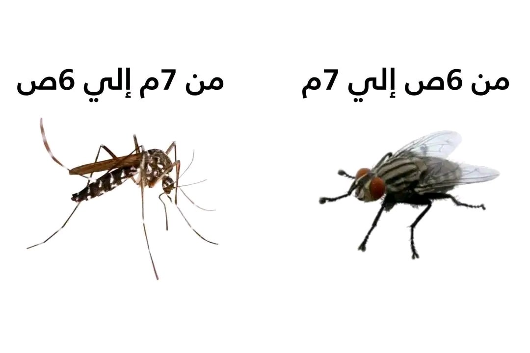 Mahmoud Negm tweet media