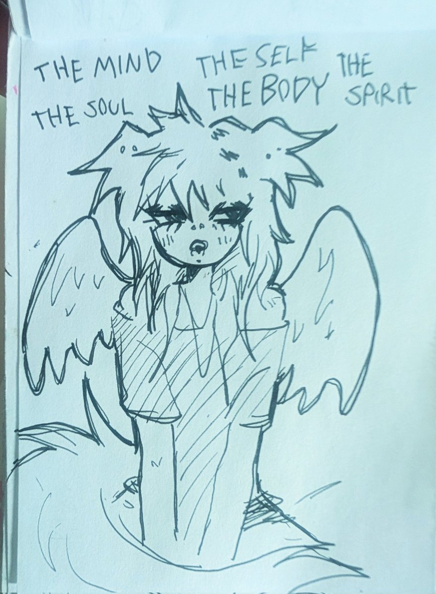 🩷🦴🫀SLEP1/JUNIE 🫁🫀🦴🩷 tweet media