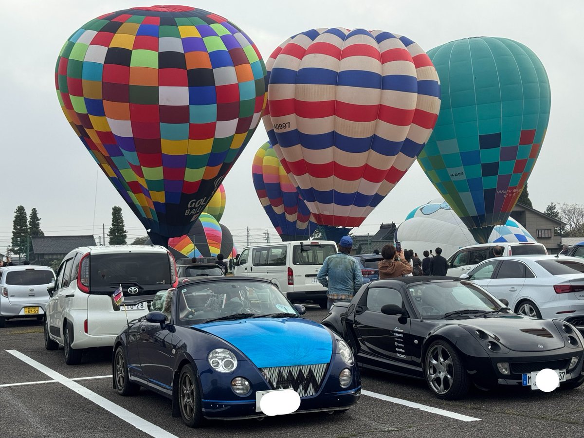 はなさん 青空会 tweet media