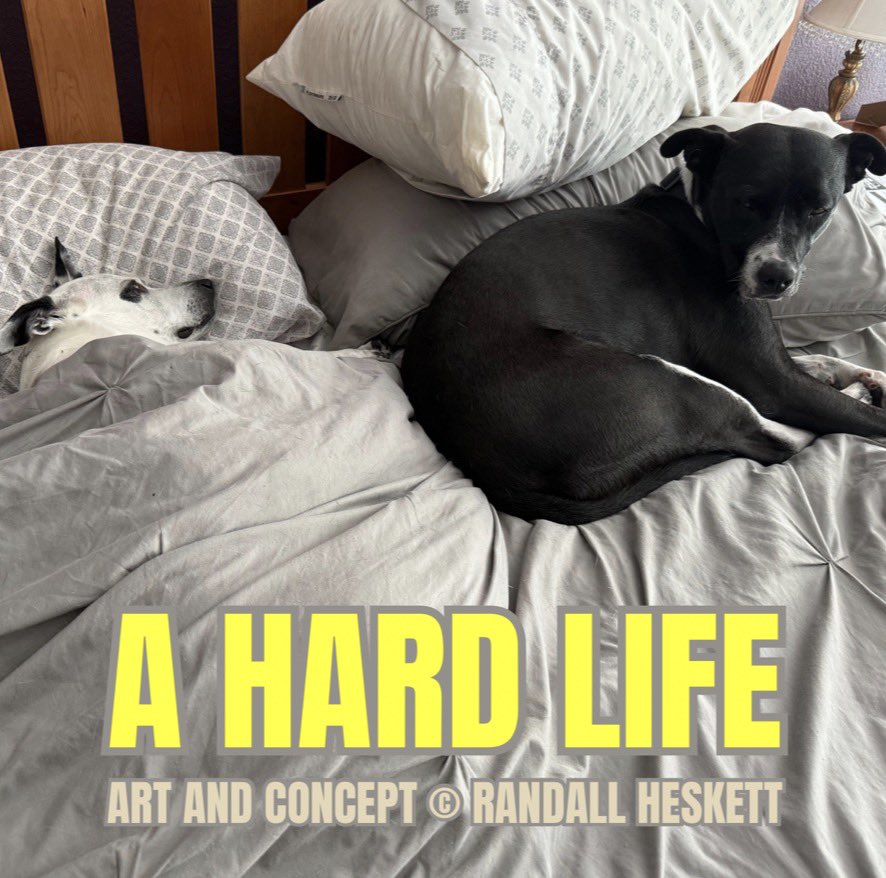 DrPemss's tweet image. A HARD LIFE

Two dogs. Two pillows. Somehow still exhausted from eating, playing, and sleeping all day. The struggle is clearly unbearable.

#Dogs #HardLife #LazyDay #PetLife #TooComfortable