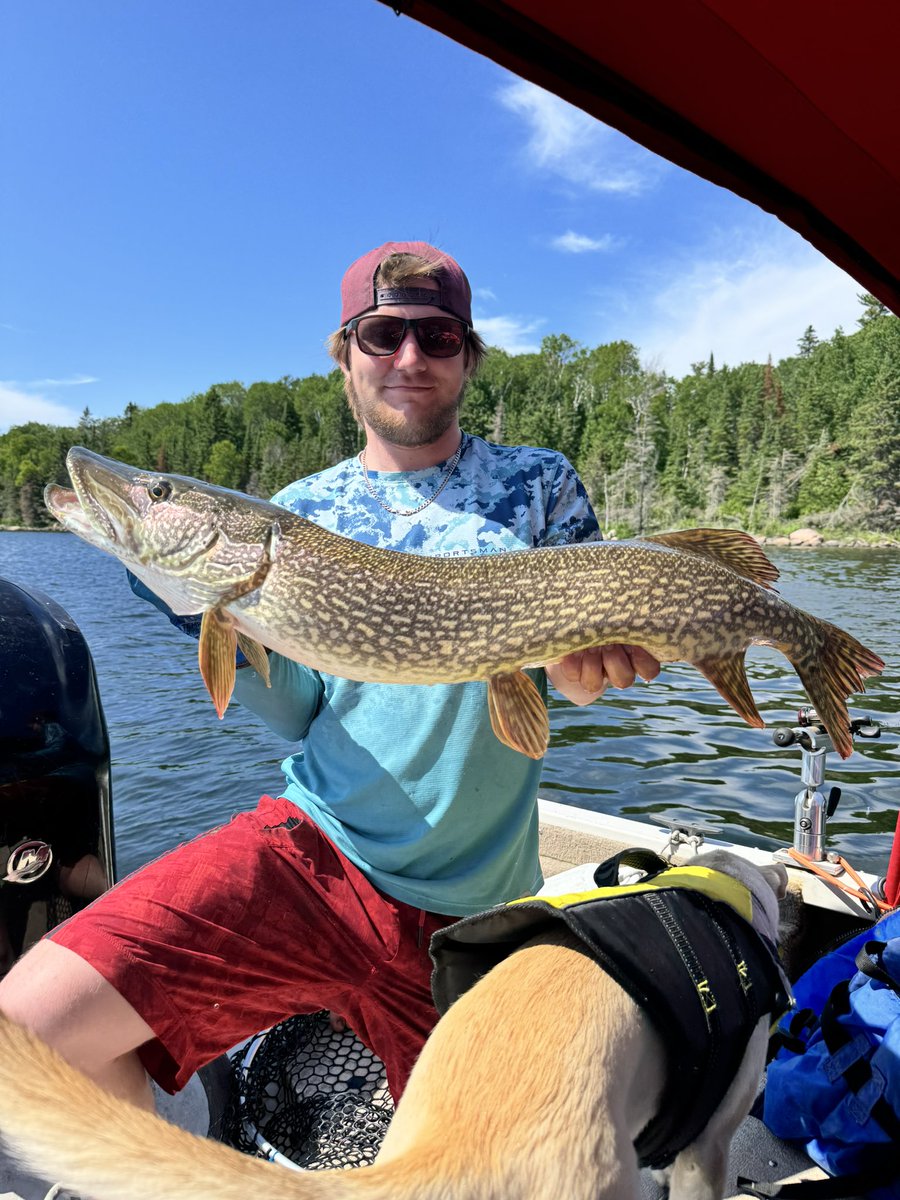 Sunset_Country's tweet photo. Have you ever caught a northern pike?

#fishing https://t.co/UHb7mUYZBo