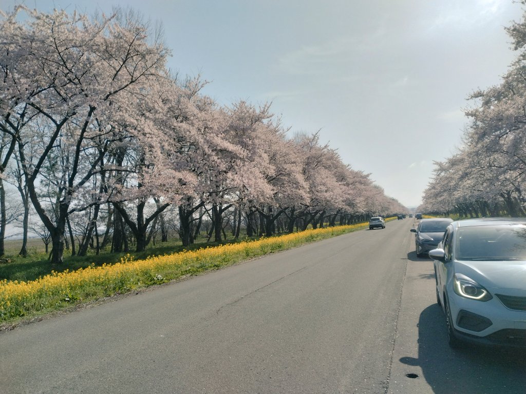 いなかのおっさん tweet media