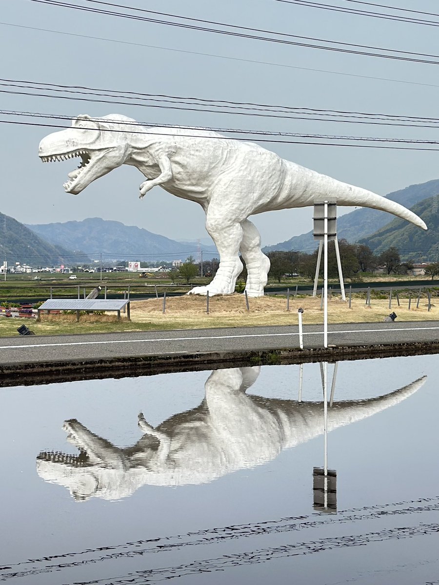 福井県立恐竜博物館 tweet media