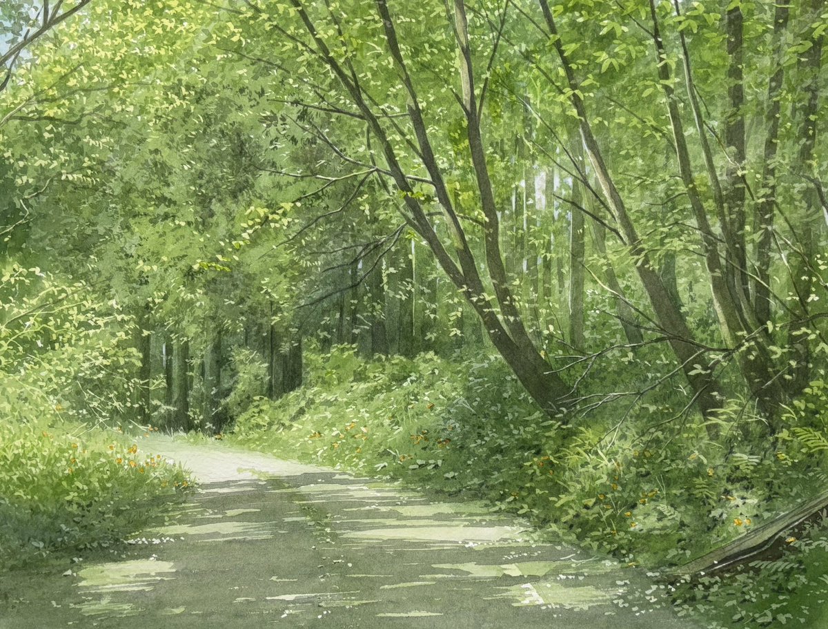 abe_watercolor's tweet photo. 緑の光の道　28x39cm
#Watercolor  #透明水彩 https://t.co/75FRGMxHT9