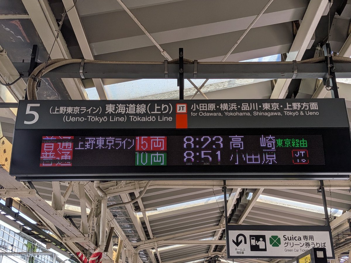 真羽ゆう tweet media