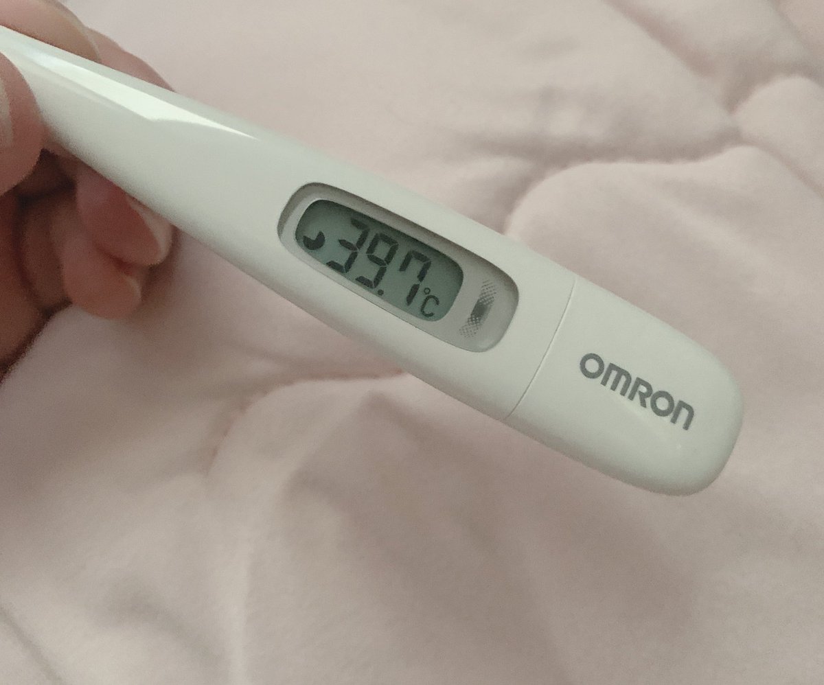 にゃぷーり･ぷりん🐈🍮 tweet media