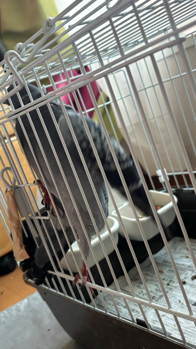 ﾉﾚー彡ン tweet media