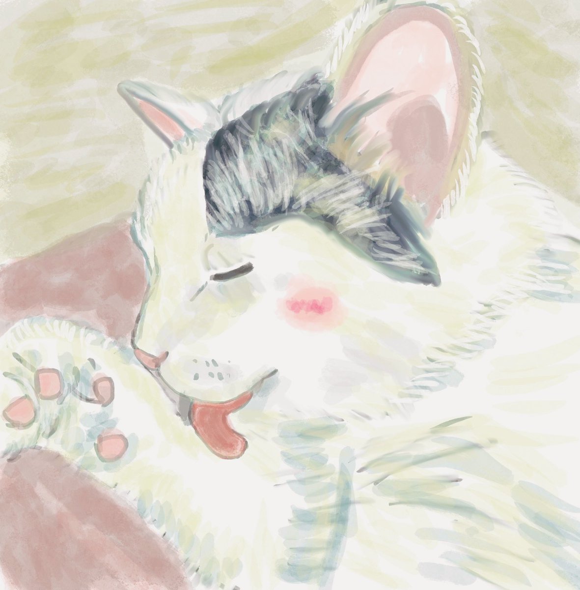 はるかぜ tweet media