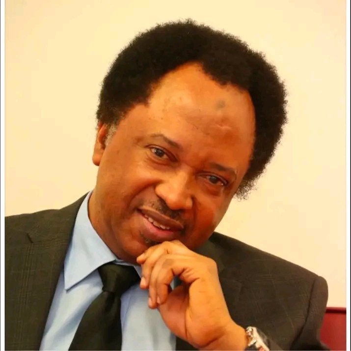 Pharmacio001's tweet photo. 50k for anyone who can list 5 credible and  tangible projects or interventions with proof, initiated and completed by the former Senator, Shehu Sani. You have one month.

~ Yashim https://t.co/Ml2RMXNPti