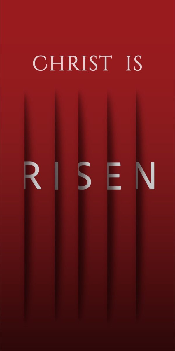 Aesthetic.Guyy tweet media