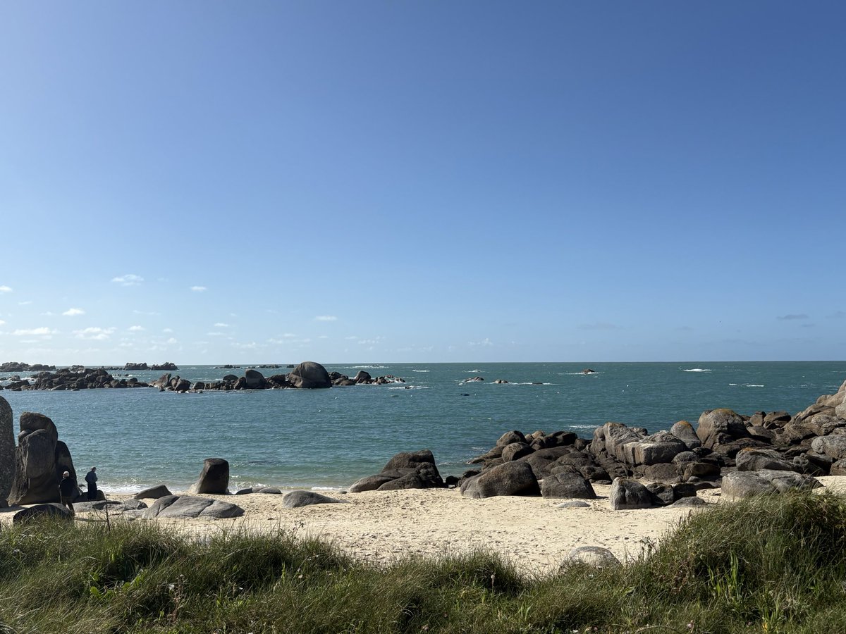 Marie-Laure Croguennec tweet media