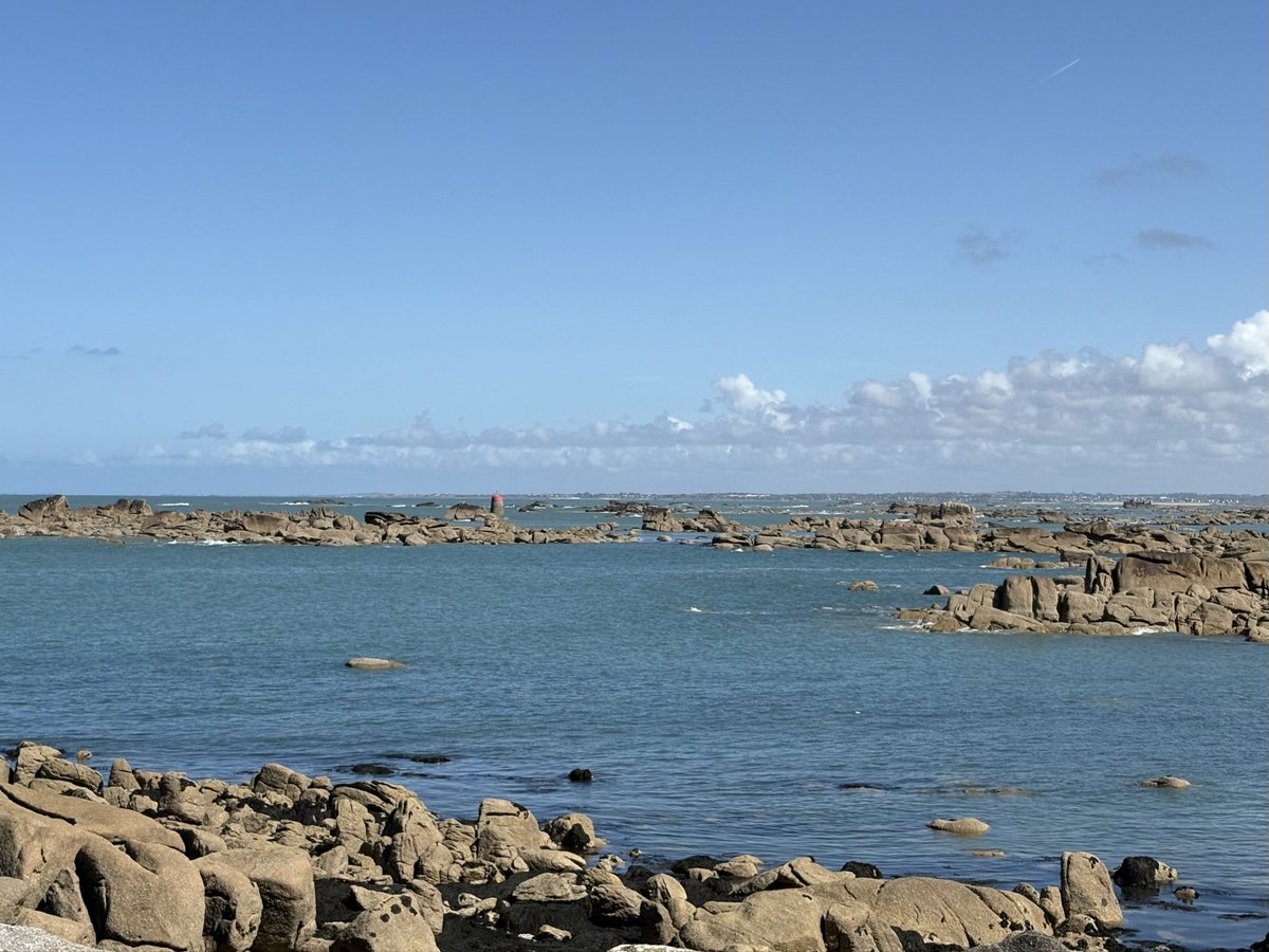 Marie-Laure Croguennec tweet media