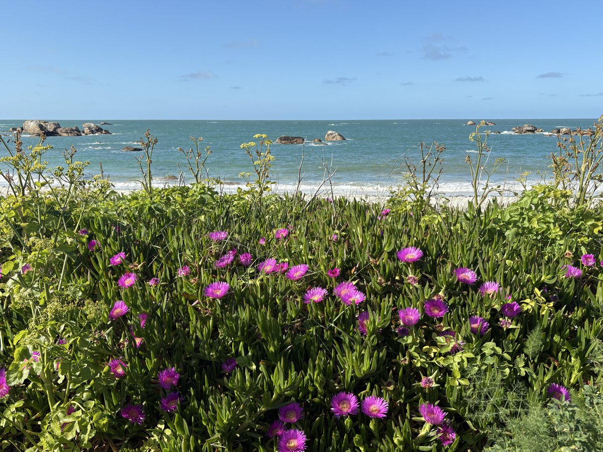 Marie-Laure Croguennec tweet media