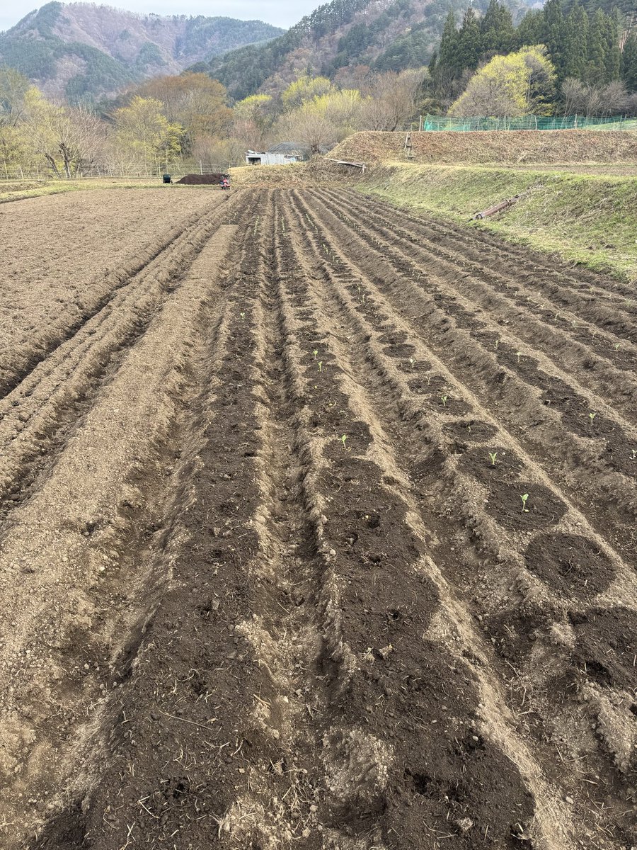 伊藤将太｜SATOMORI. tweet media