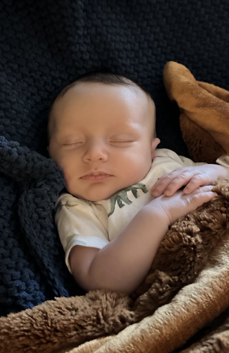 Harold Mears tweet media