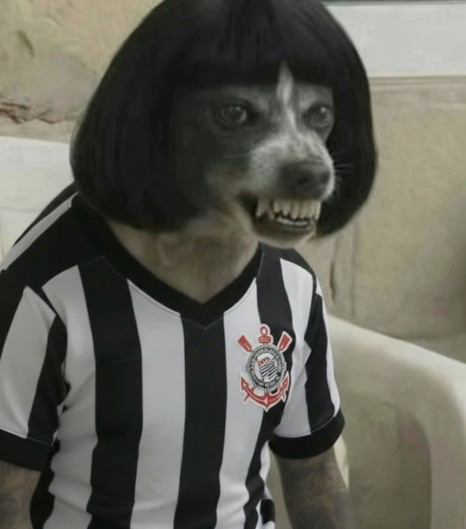 BORA ENTRAR NO JOGO CORINTHIANS ? PORRA  #VITxSCCP