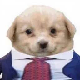 _Arguis's tweet photo. Que ganas de no trabajar los findes 
y de coito 
jajaja https://t.co/2eypNI88m8