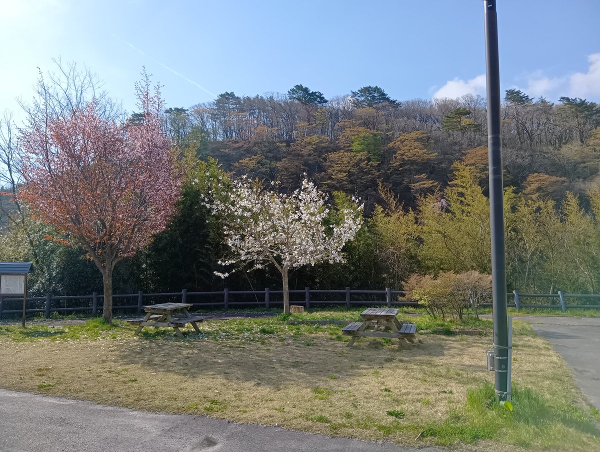kthikotan's tweet photo. 今日は凄く目が疲れます!休憩。 https://t.co/vZ7sXvX0JP