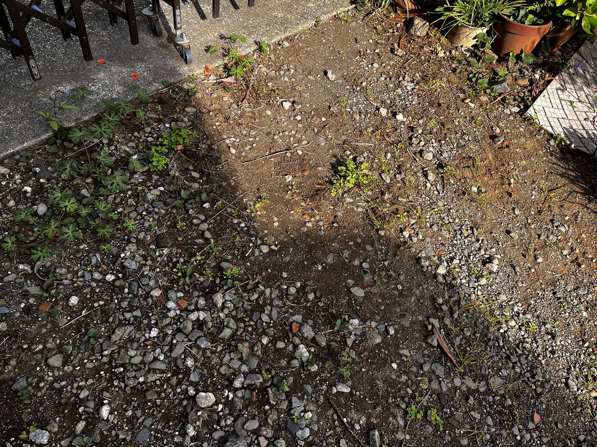 ちゃま tweet media