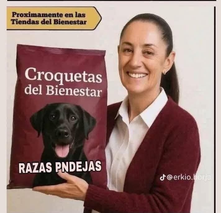 Solo confío en mi perro tweet media