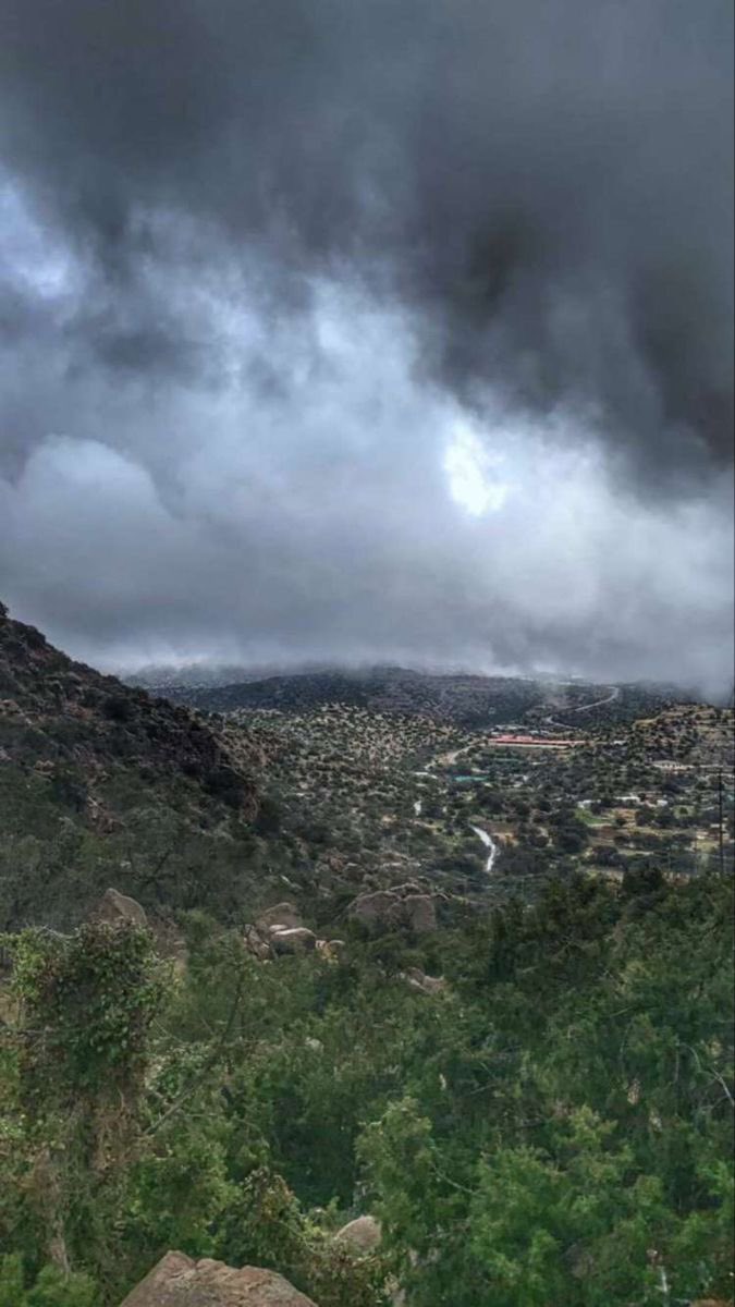 Waddah | وَضّاح tweet media