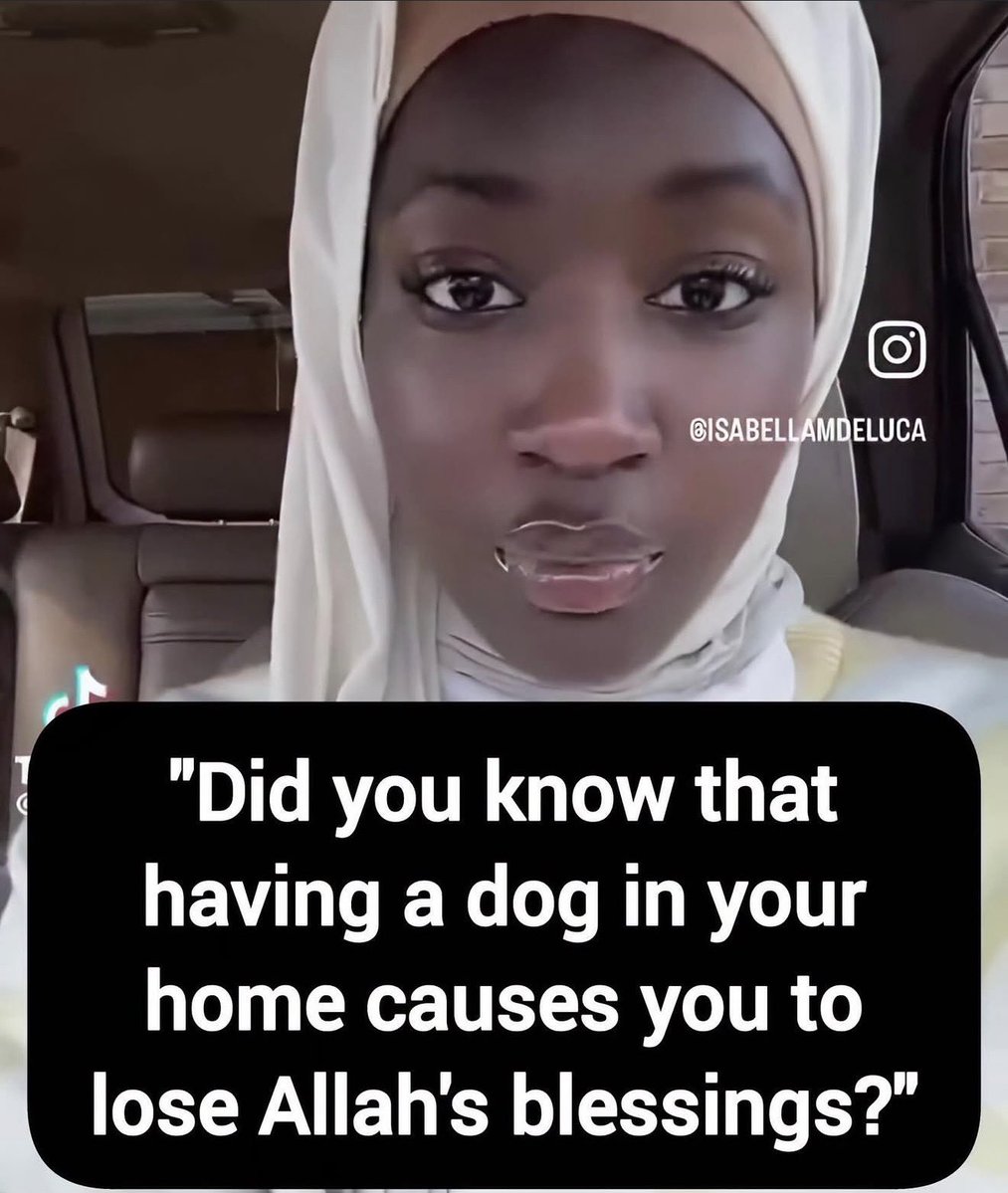 Johnny Midnight ⚡️ tweet media