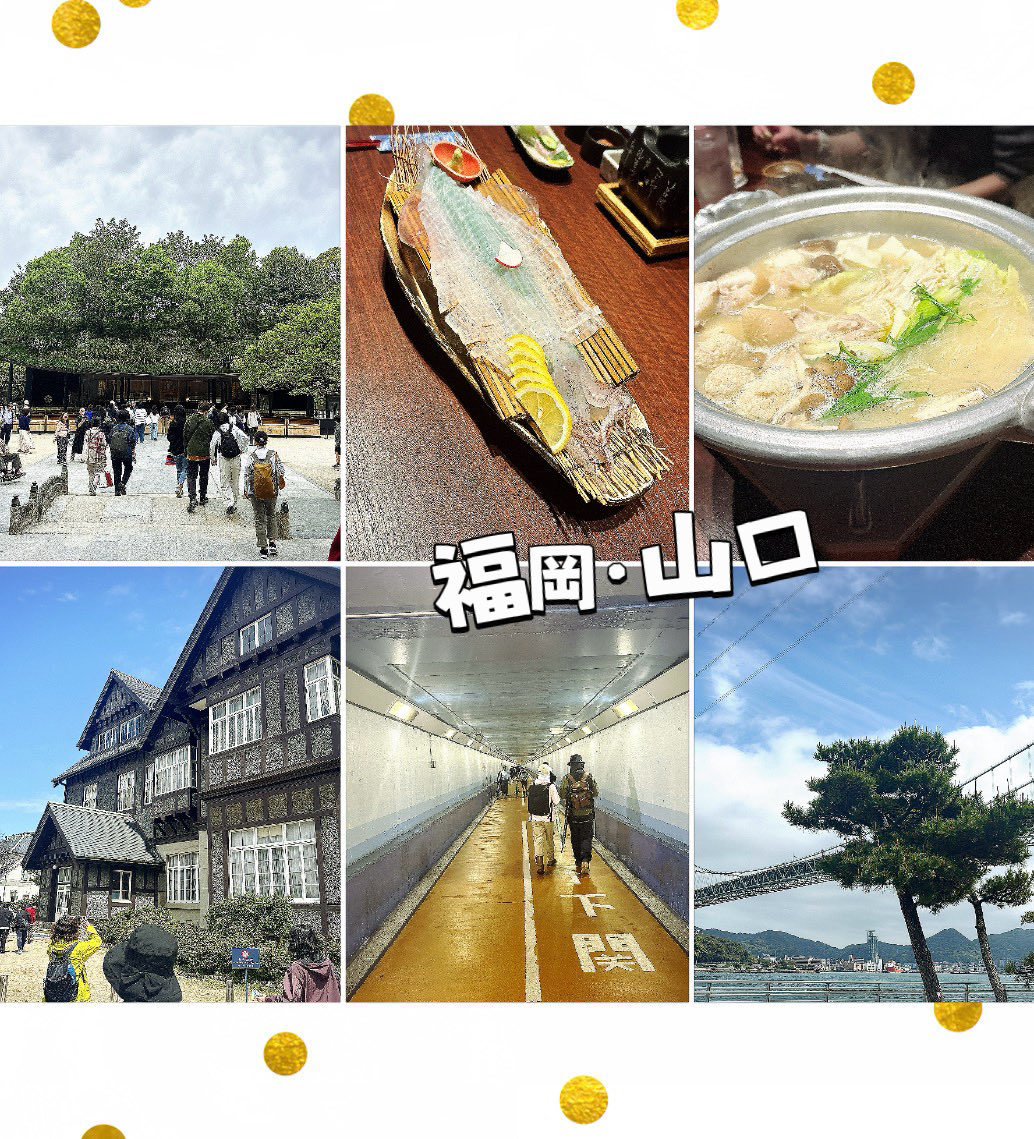 ひろまる🧸 tweet media