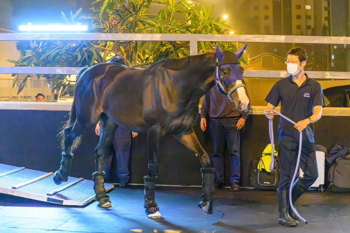 HKJC Racing tweet media