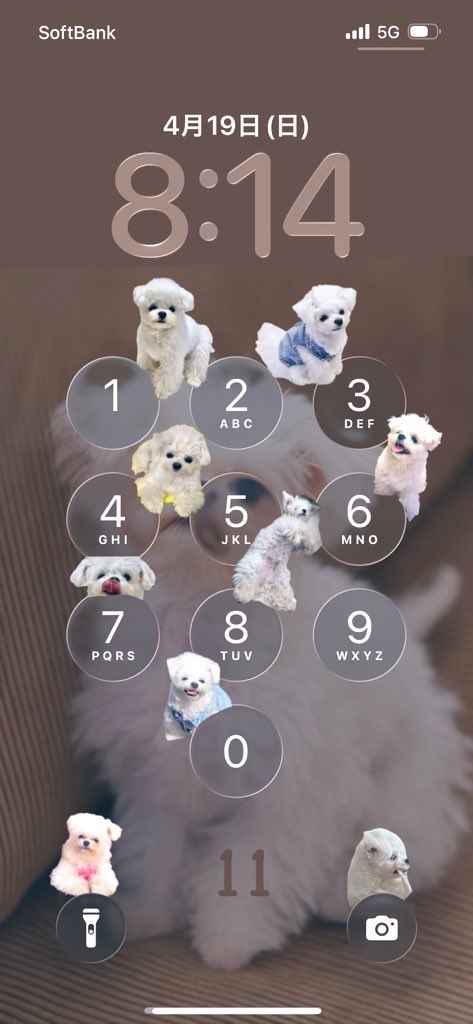 侑奈　里咲 tweet media