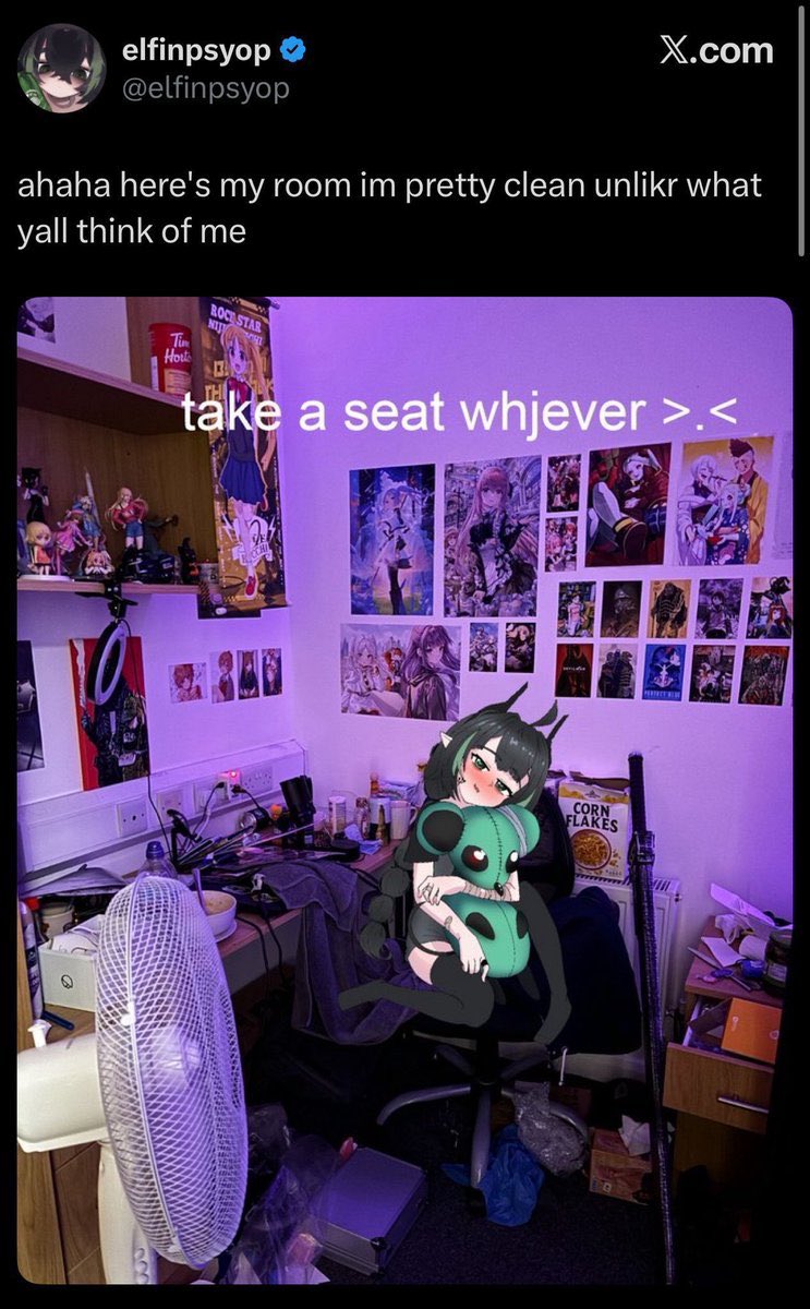 The REAL Gold Ship tweet media