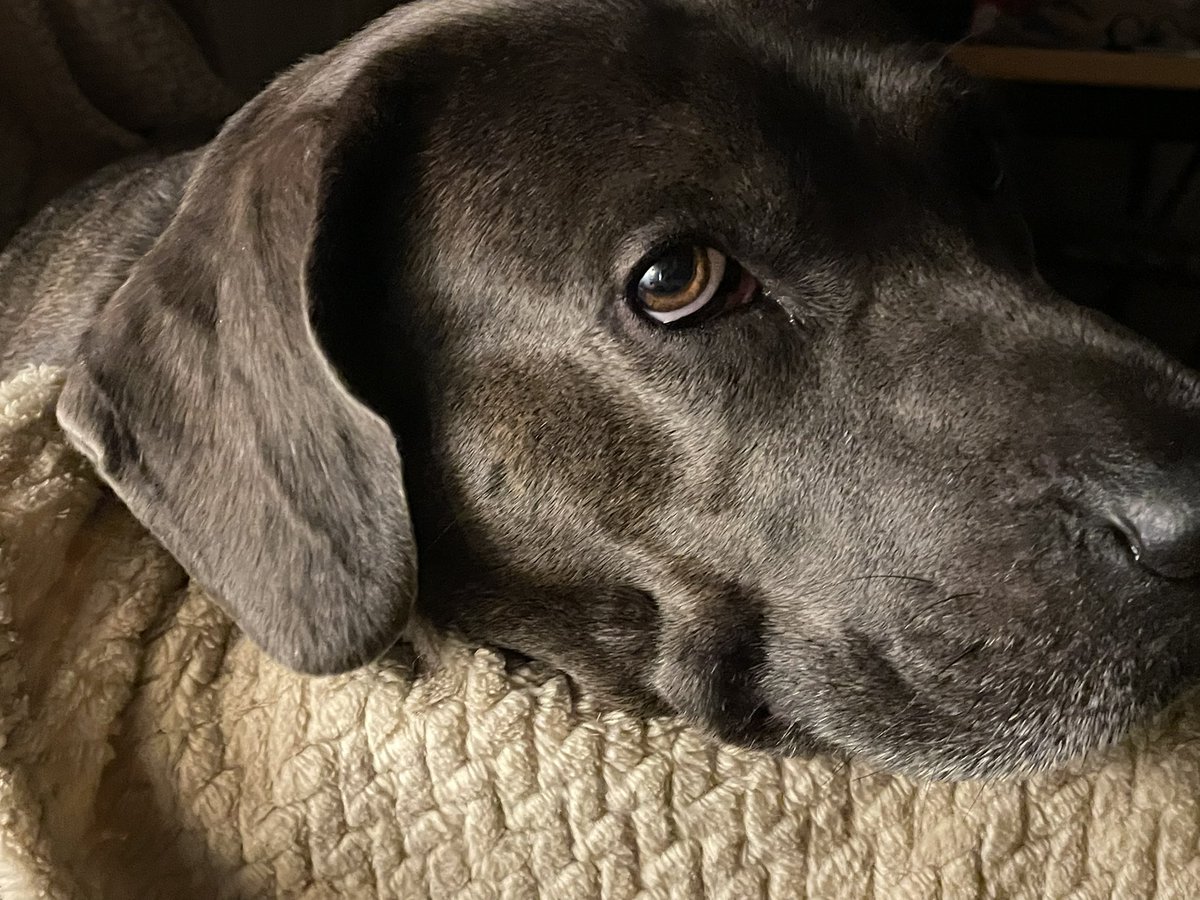 Jo Ellen tweet media