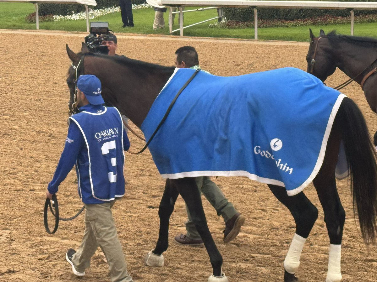 The Champ Sovereignty