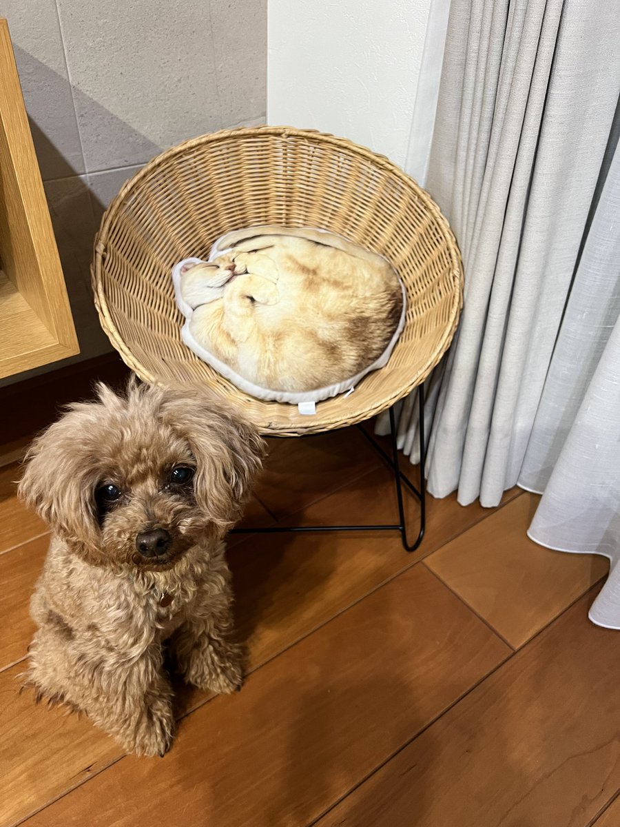 ～*＊masumi＊*～ tweet media