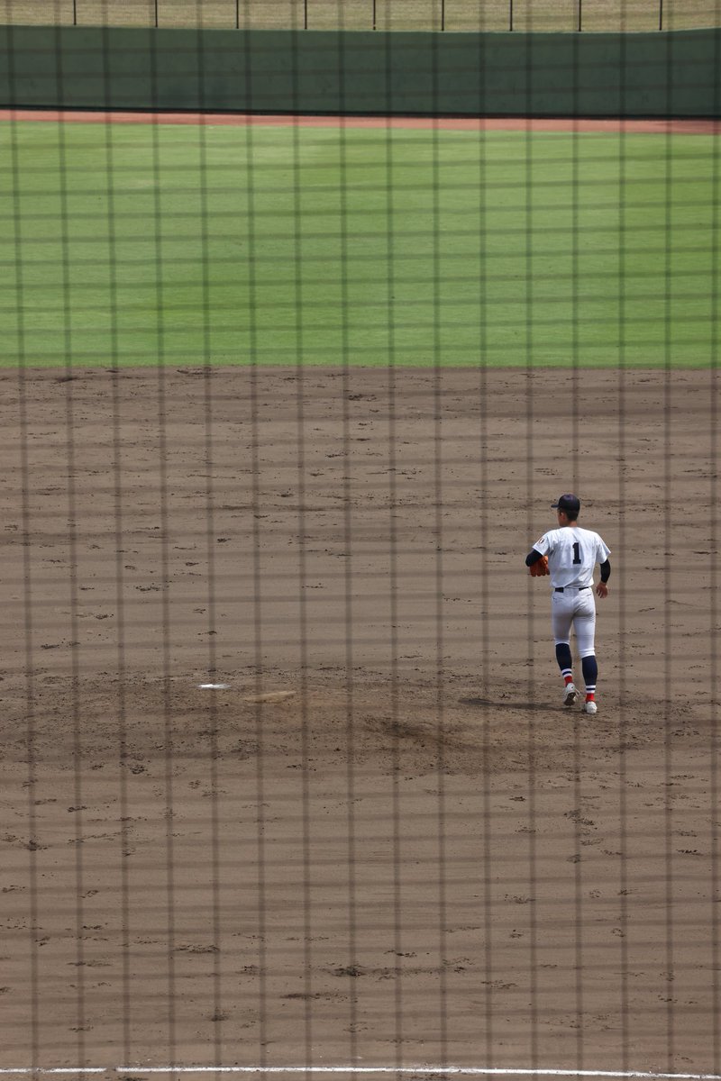 かば島 でか子 【公式】 tweet media