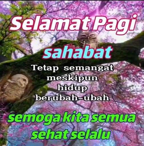 R. Arkana tweet media