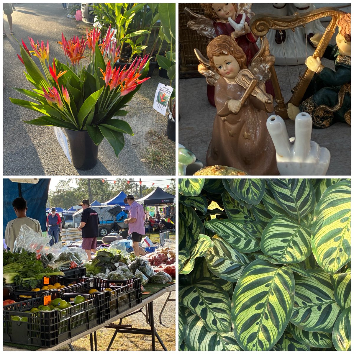 𝐇𝐏88 tweet media