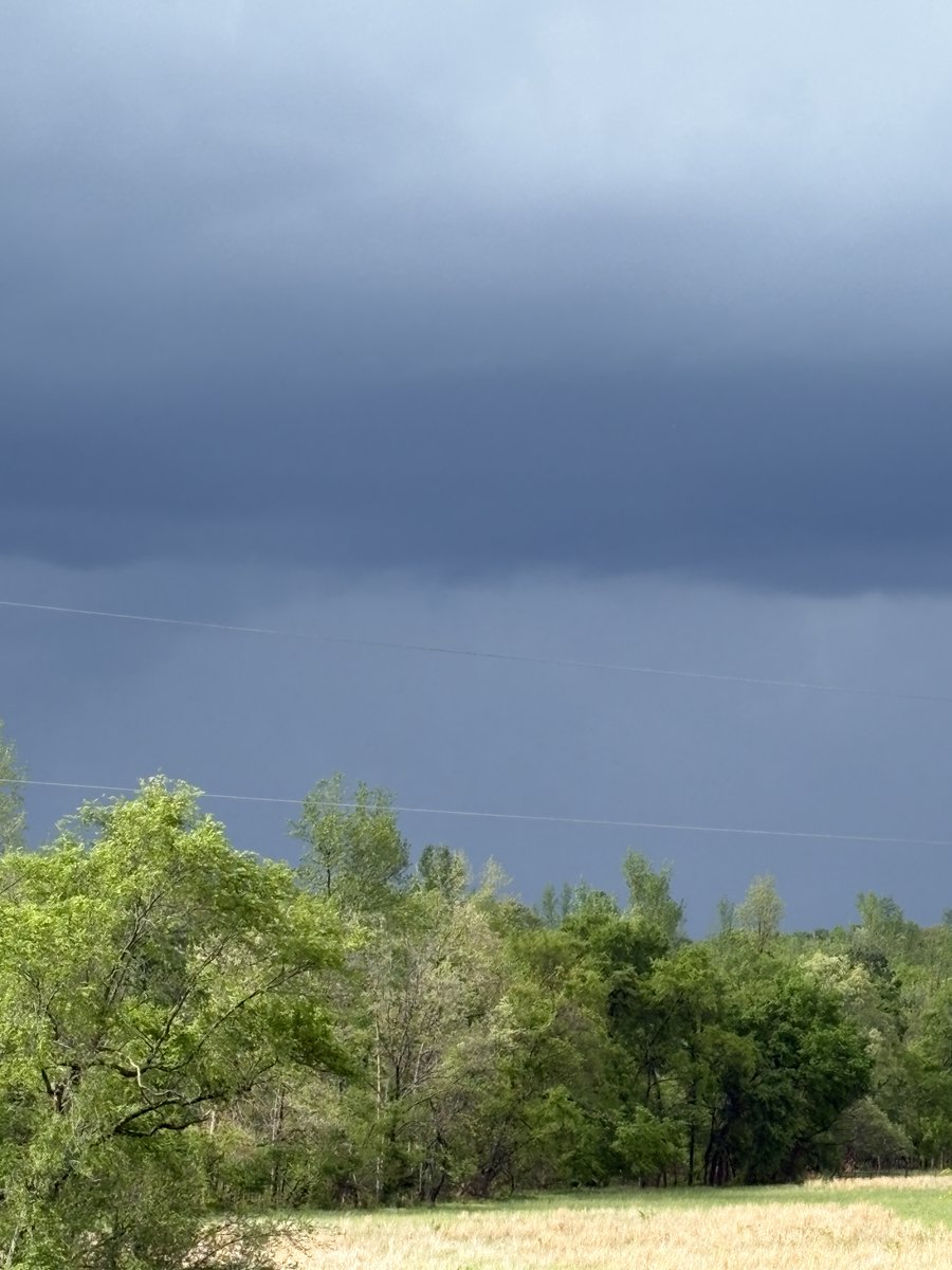 CAWritesBooks_'s tweet image. Round two of storms wasn’t pleasant. #Storms #Weather #Missouri #ACatMommaWrites