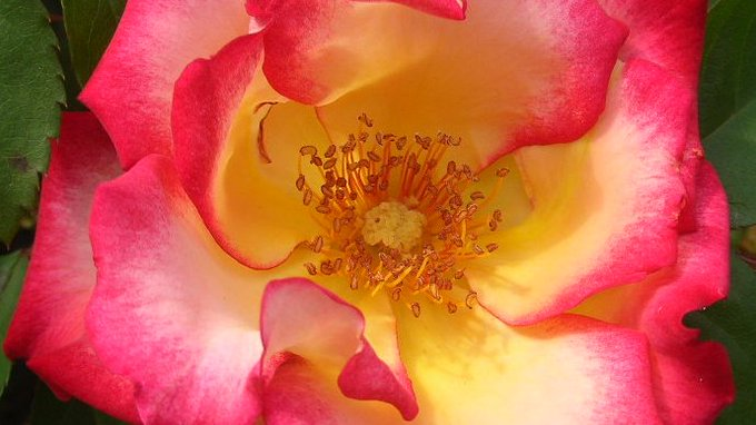 honky_tonk's tweet image. 遅からず早からず
過剰でも過少でもなく

難し過ぎることも
易し過ぎることなく

今どの過程にいるか
当人より理解深く

宇宙は一切を無償で与え
僕を満たしてくれる

永遠無限に伸びてゆく
愛を開いてゆく

実は宇宙そのもの‥
己が正体に気づくまで
#awakening #覚醒