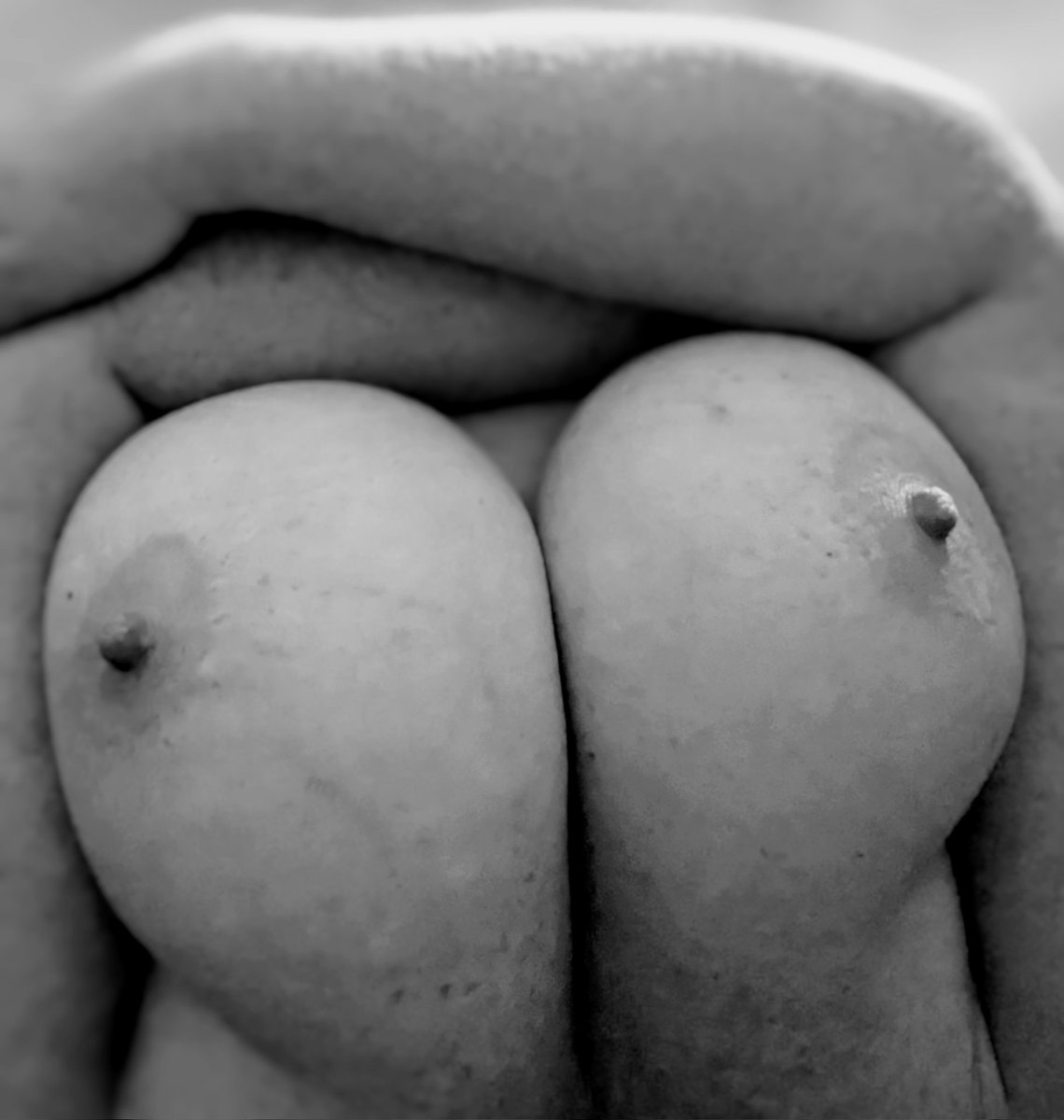 TributeKittySQL (second cuming) tweet media