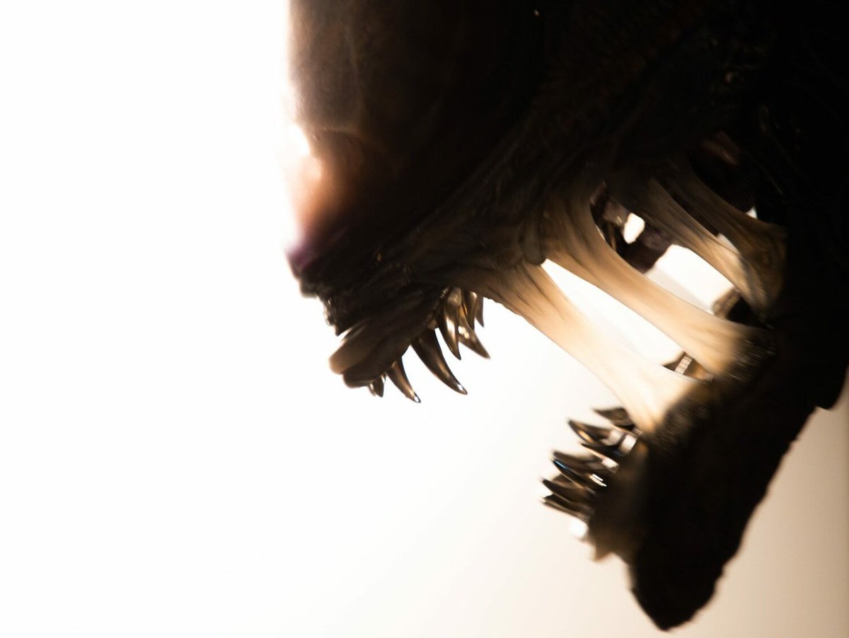 WeylandUplink's tweet image. #Alien: Romulus 2 might still continue the Rain and Andy storyline after all, but we're still not 100% sure.
 alien-covenant.com/news/alien-rom…