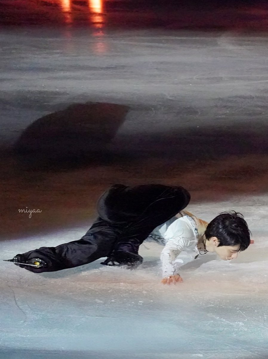 miyaa🪽 tweet media