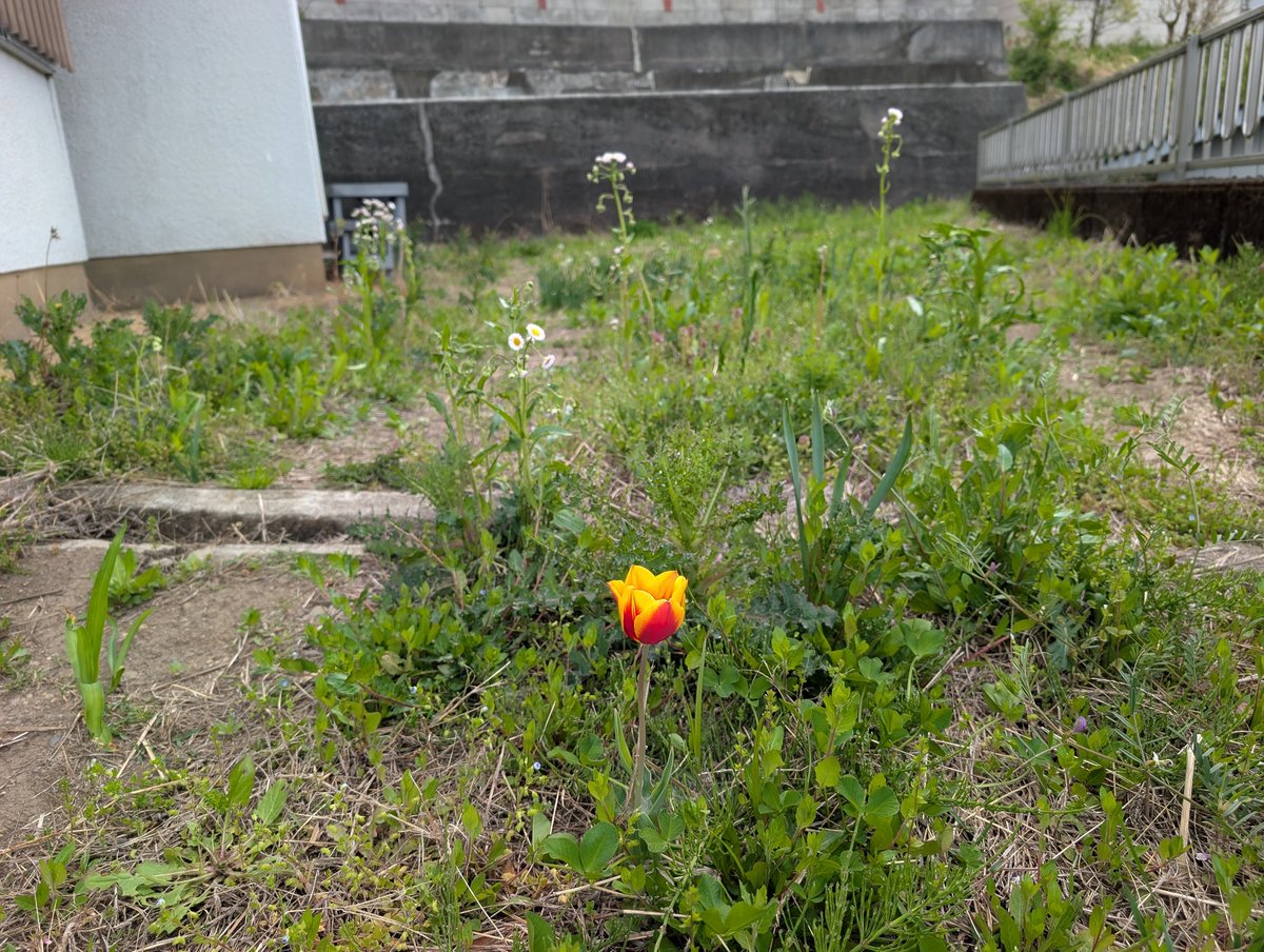 しもさん @日本（本土）8周完了 tweet media