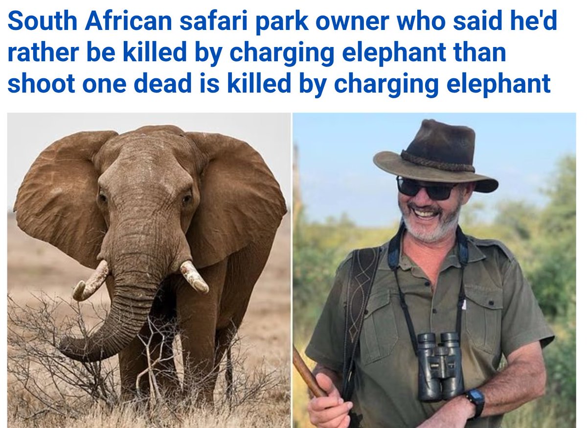 David P GCSE (multiple) tweet media