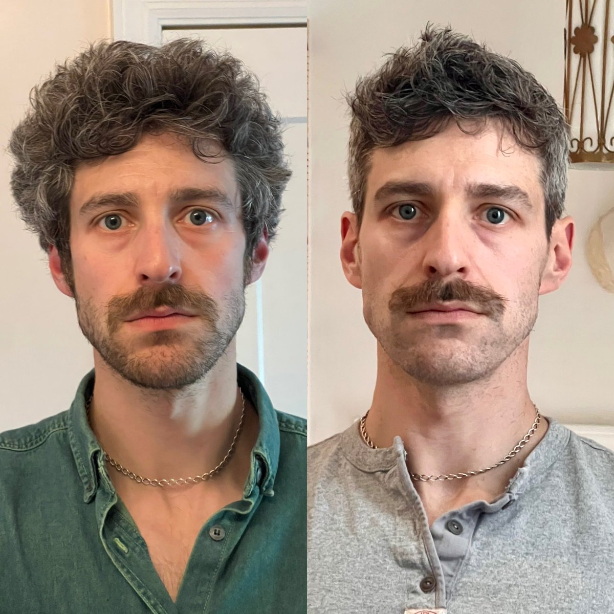 Zack Bornstein tweet media