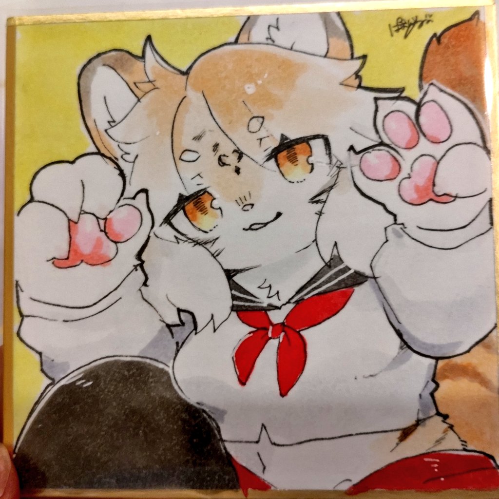 むちもふ食堂 tweet media