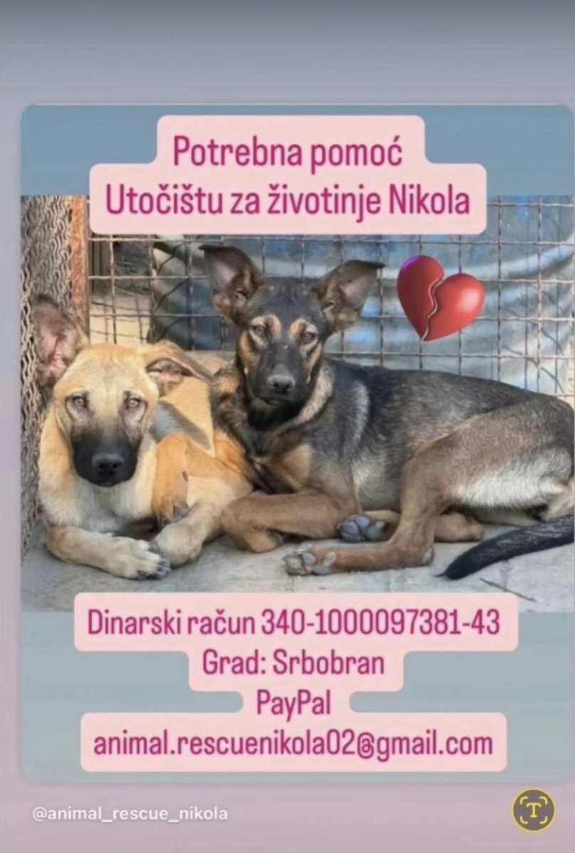 Marin Bodirogić tweet media