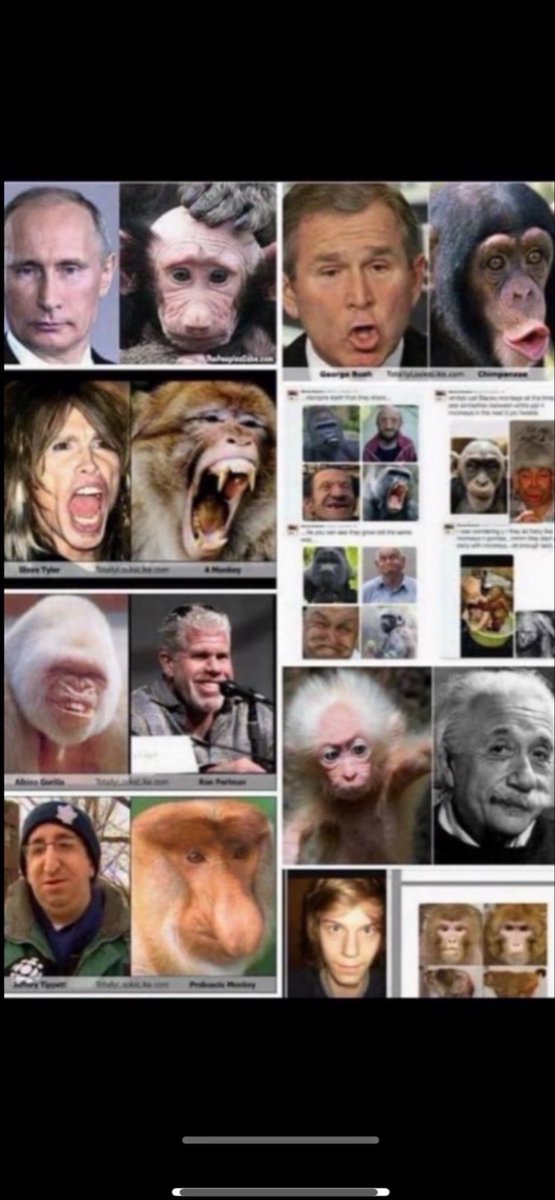 🗽ꜱᴏᴜᴛʜᴇʀɴᴄʀᴏꜱꜱ ╋━ tweet media